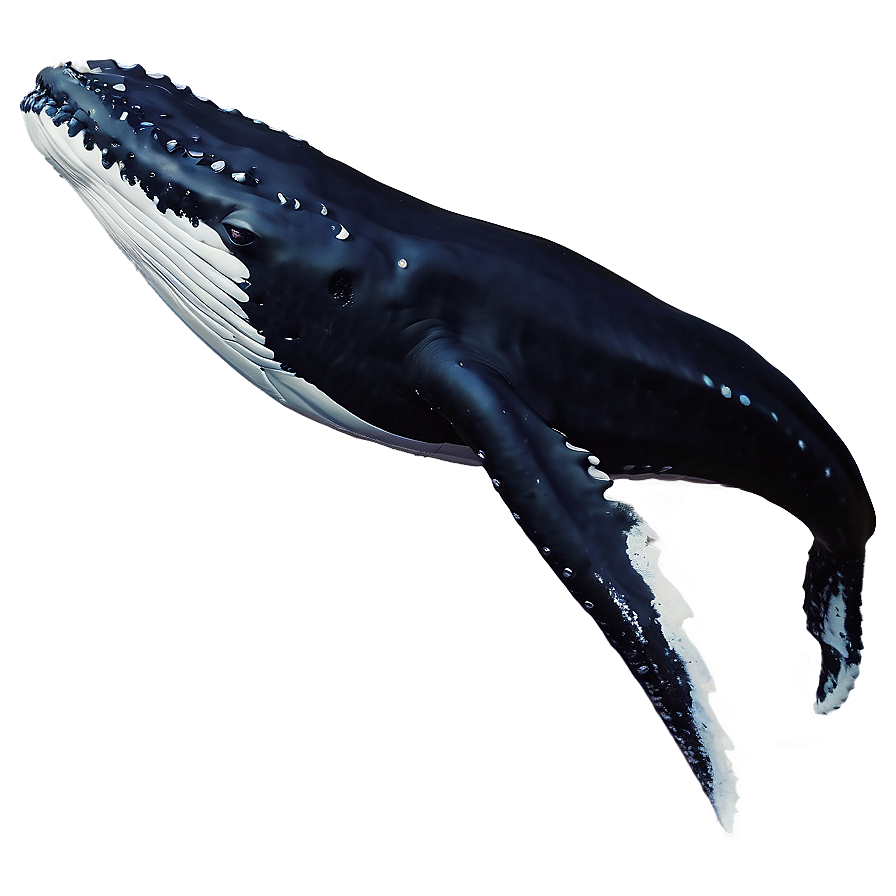 Humpback Whale Mystical Creature Png Alk