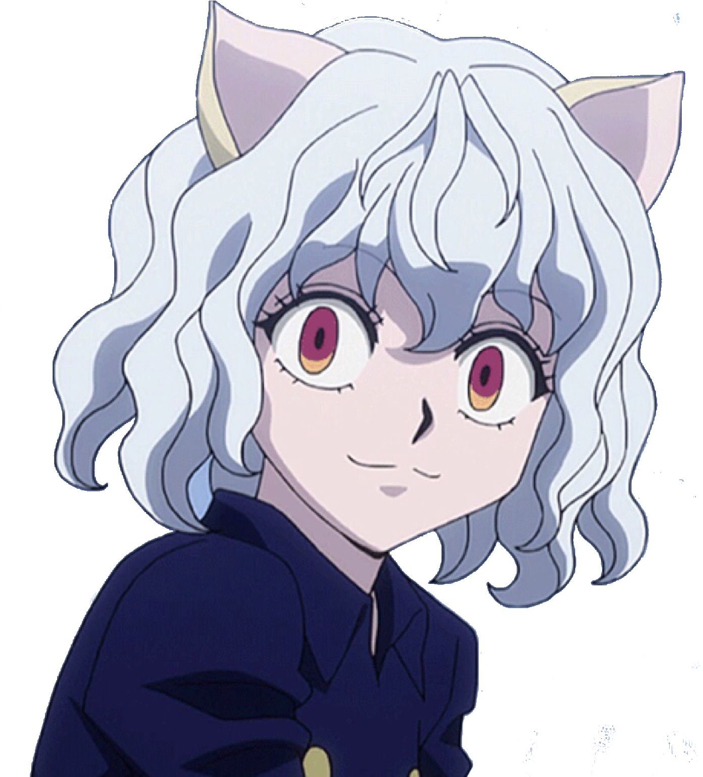 Hunter X Hunter Character With White Hairand Cat Ears