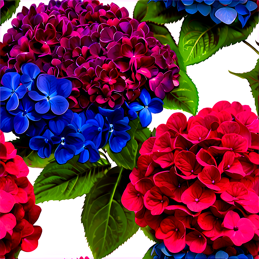 Hydrangea Bouquet Png 05242024