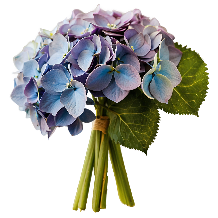 Hydrangea Bouquet PNG 35 PNG with transparent background
