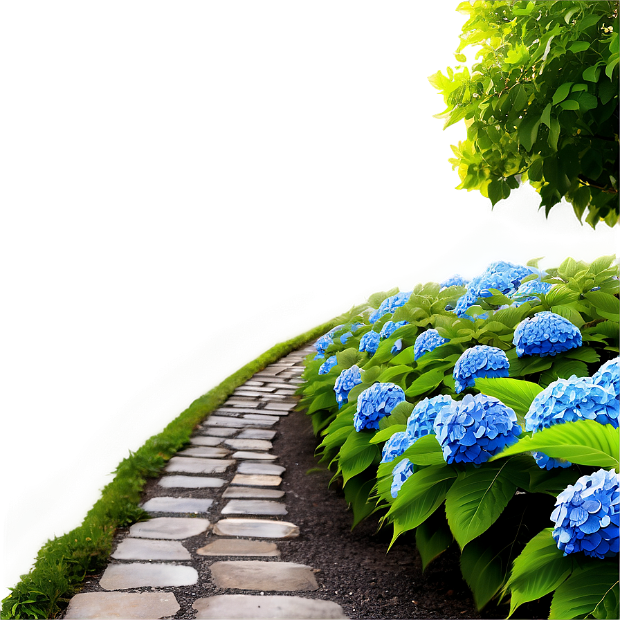 Hydrangea Path Png Ttc22