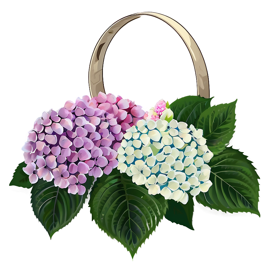 Hydrangea Wedding Png Opd16