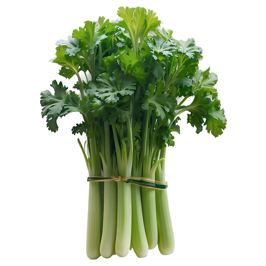 Hydroponic Celery Png Lxn80