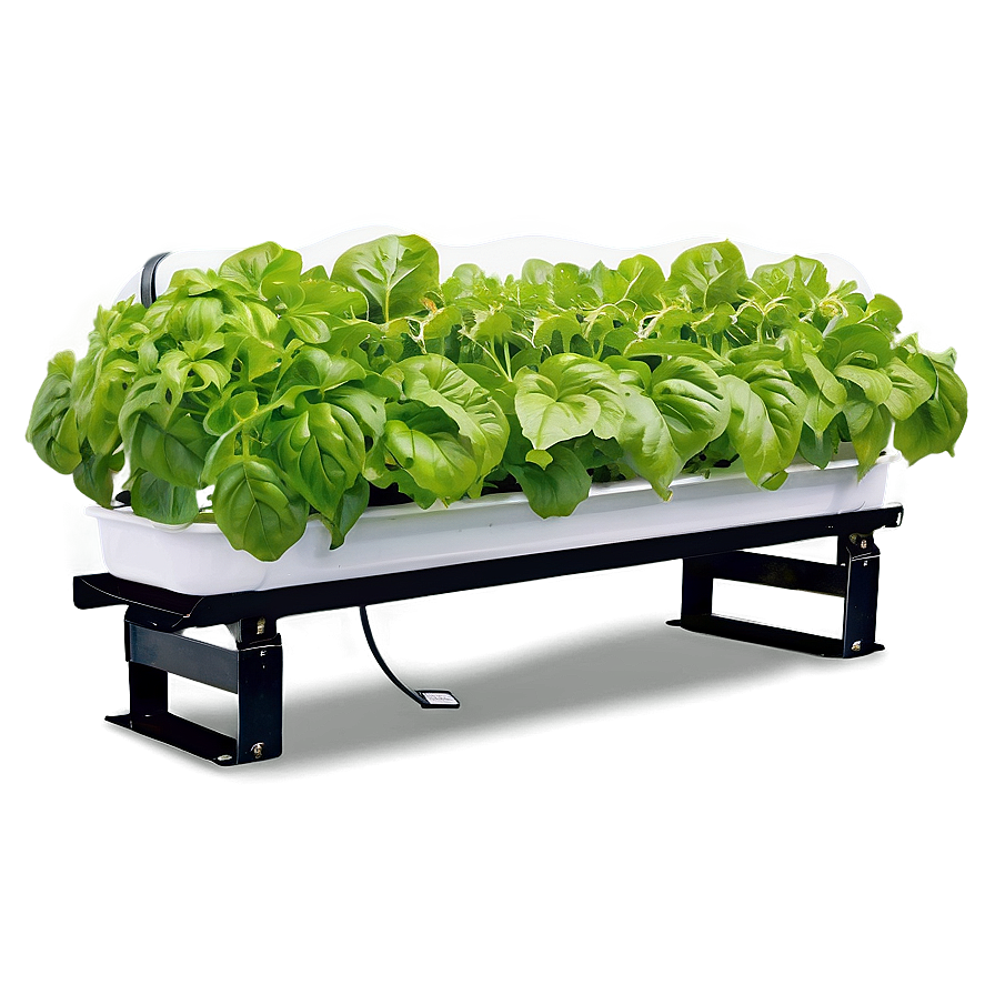 Hydroponic Vegetables Png Swj29