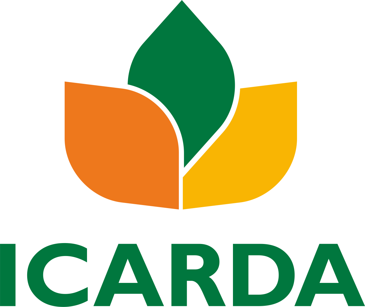 I C A R D A Logo Image