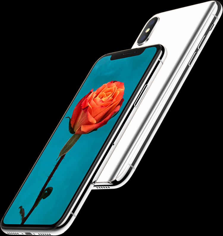 I Phone With Red Rose Wallpaper