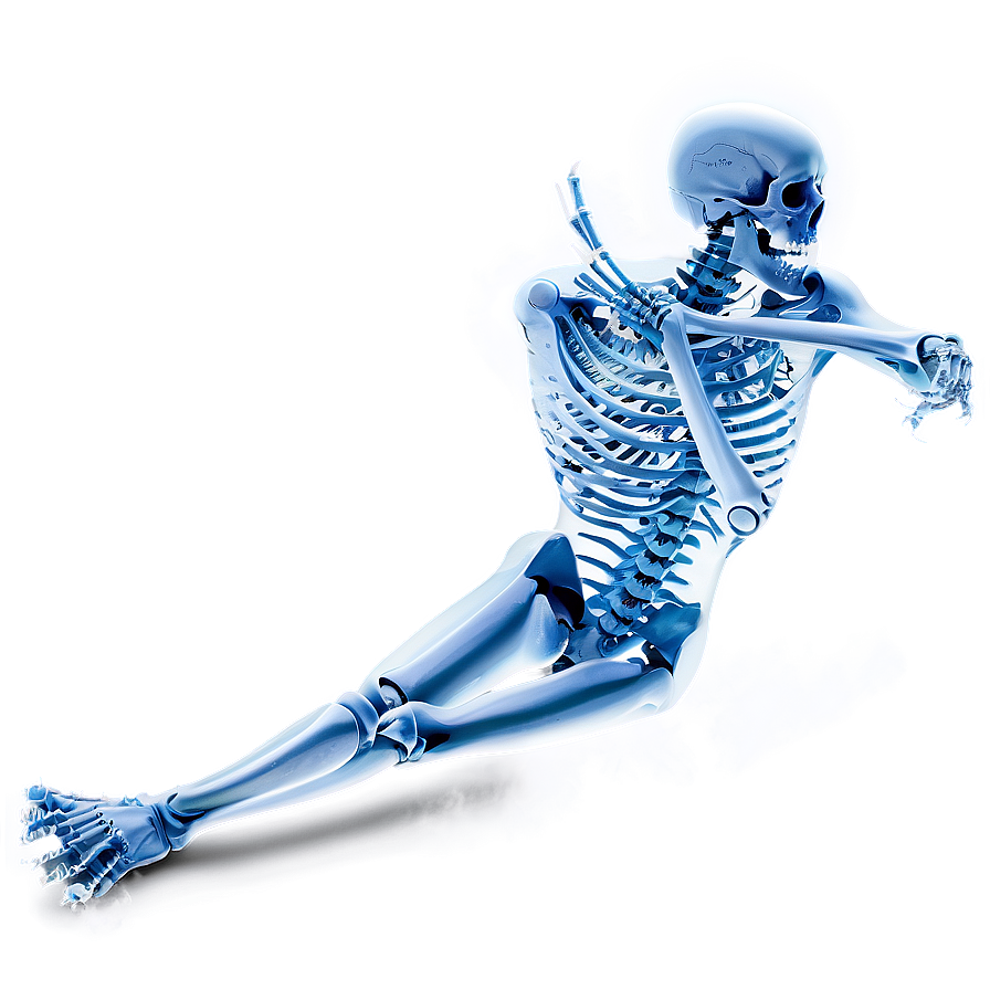 Ice Skeleton Png Pcl