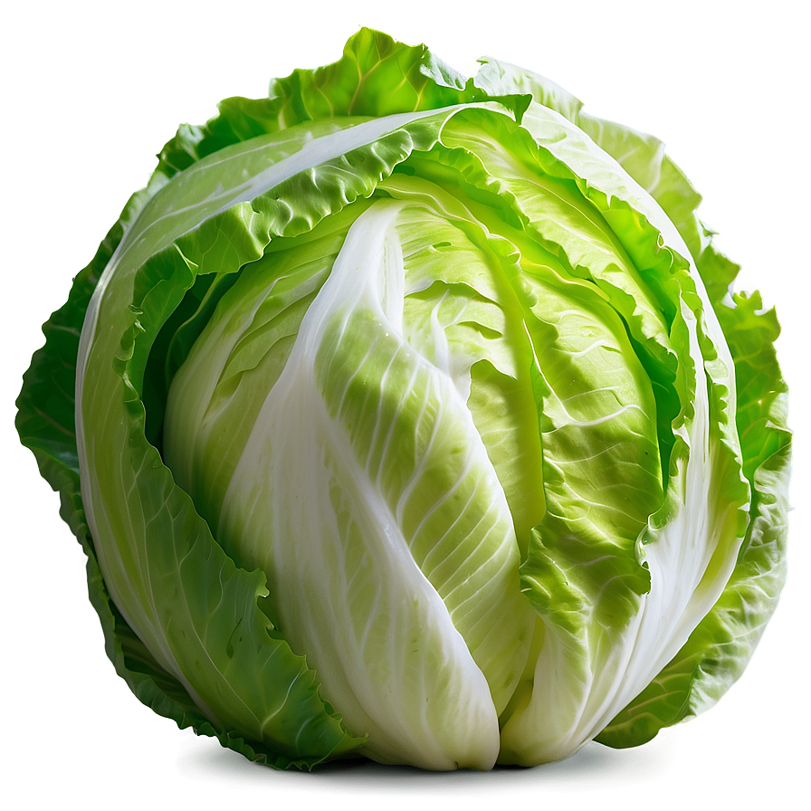 Iceberg Lettuce Png 05242024