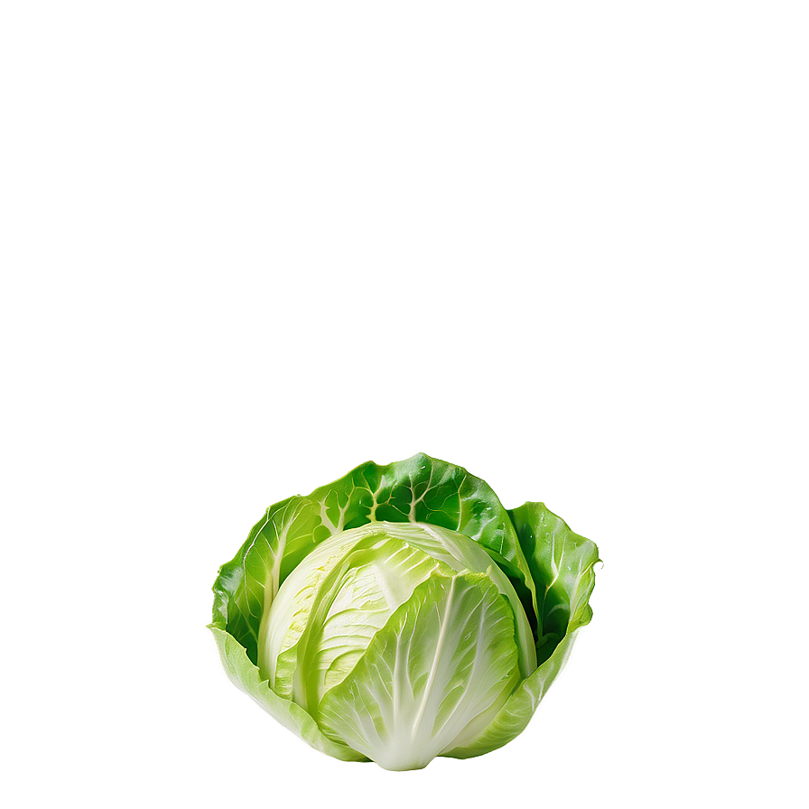 Iceberg Lettuce Png 3