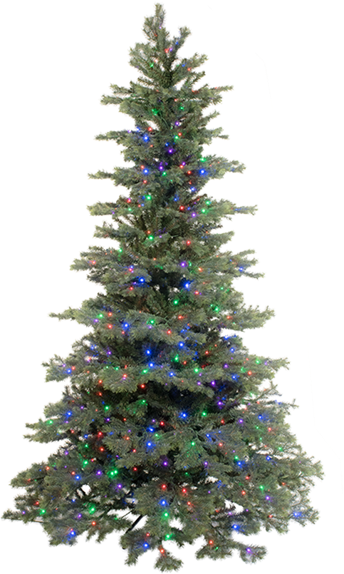 Illuminated Christmas Tree.png PNG with transparent background