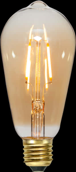 Illuminated L E D Filament Bulb