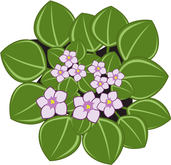African Violet Flower Clipart Png, Transparent Png PNG with transparent background