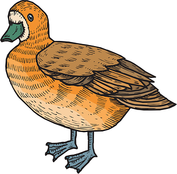 Illustrated Brown Duck Graphic PNG with transparent background
