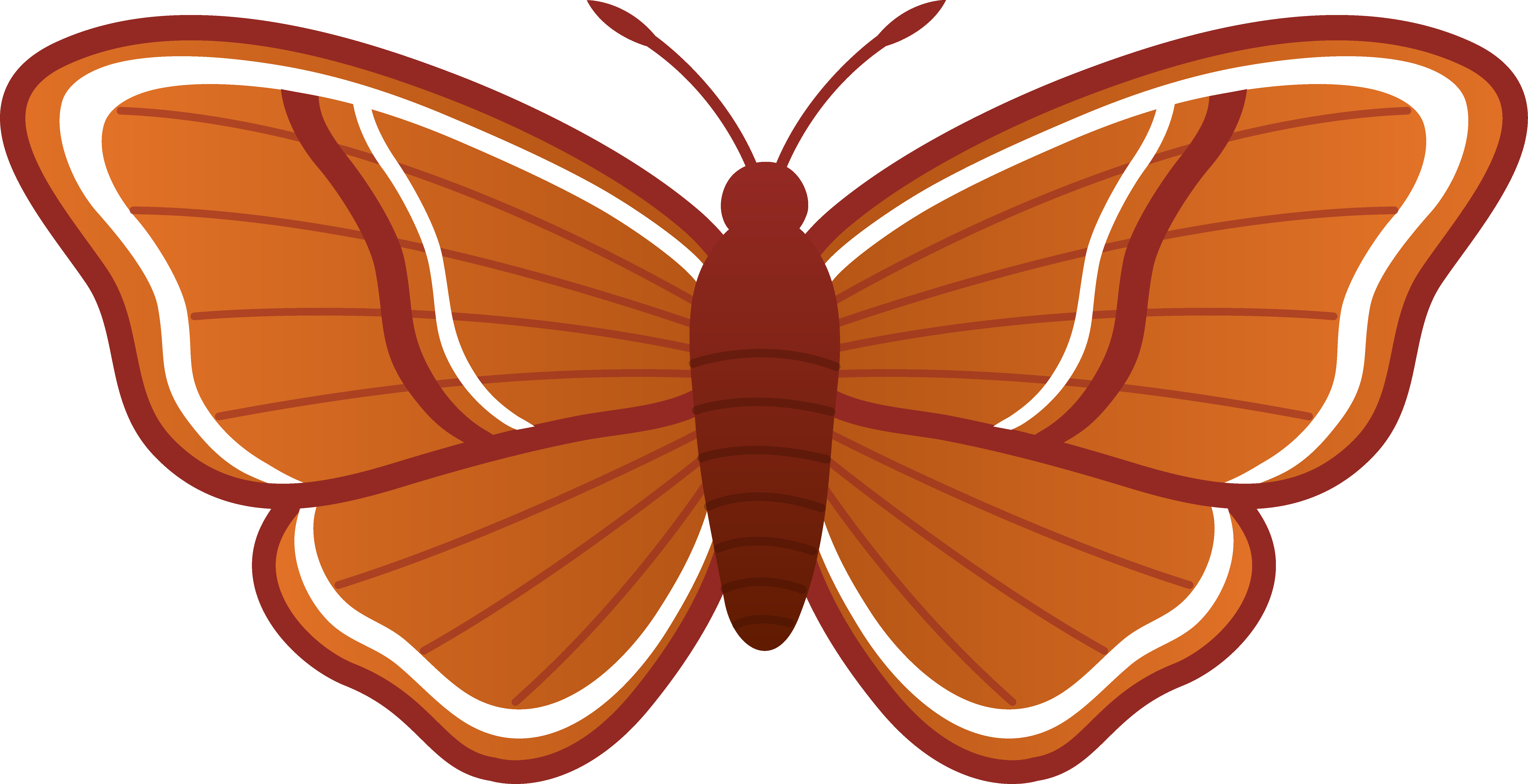 Illustrated Brown Moth Graphic