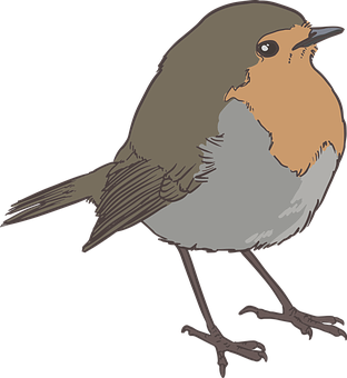 Illustrated Brownand Orange Bird