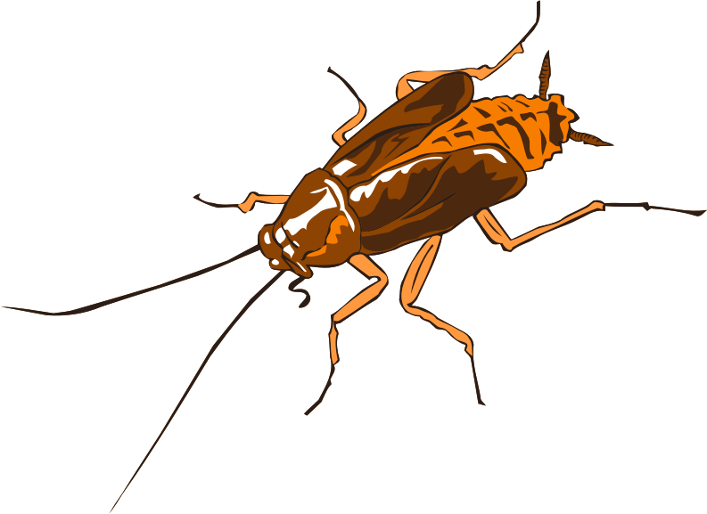 Illustrated Cockroachon Blue Background PNG image with a transparent background, free high-resolution download