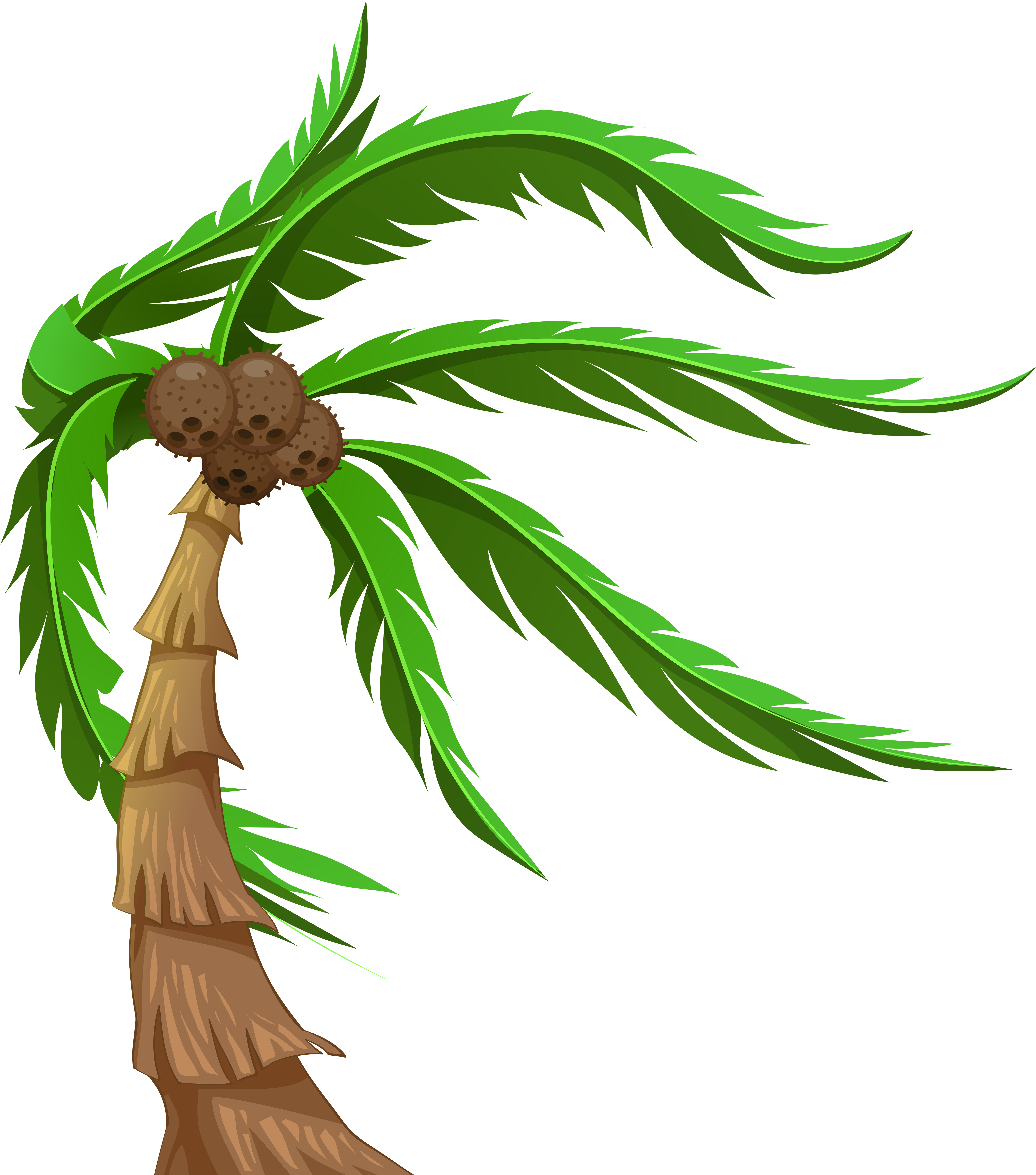 Illustrated Coconut Treewith Fruits PNG image with a transparent background, free high-resolution download