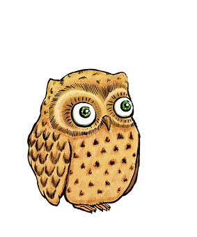 Illustrated Cute Owl PNG with transparent background