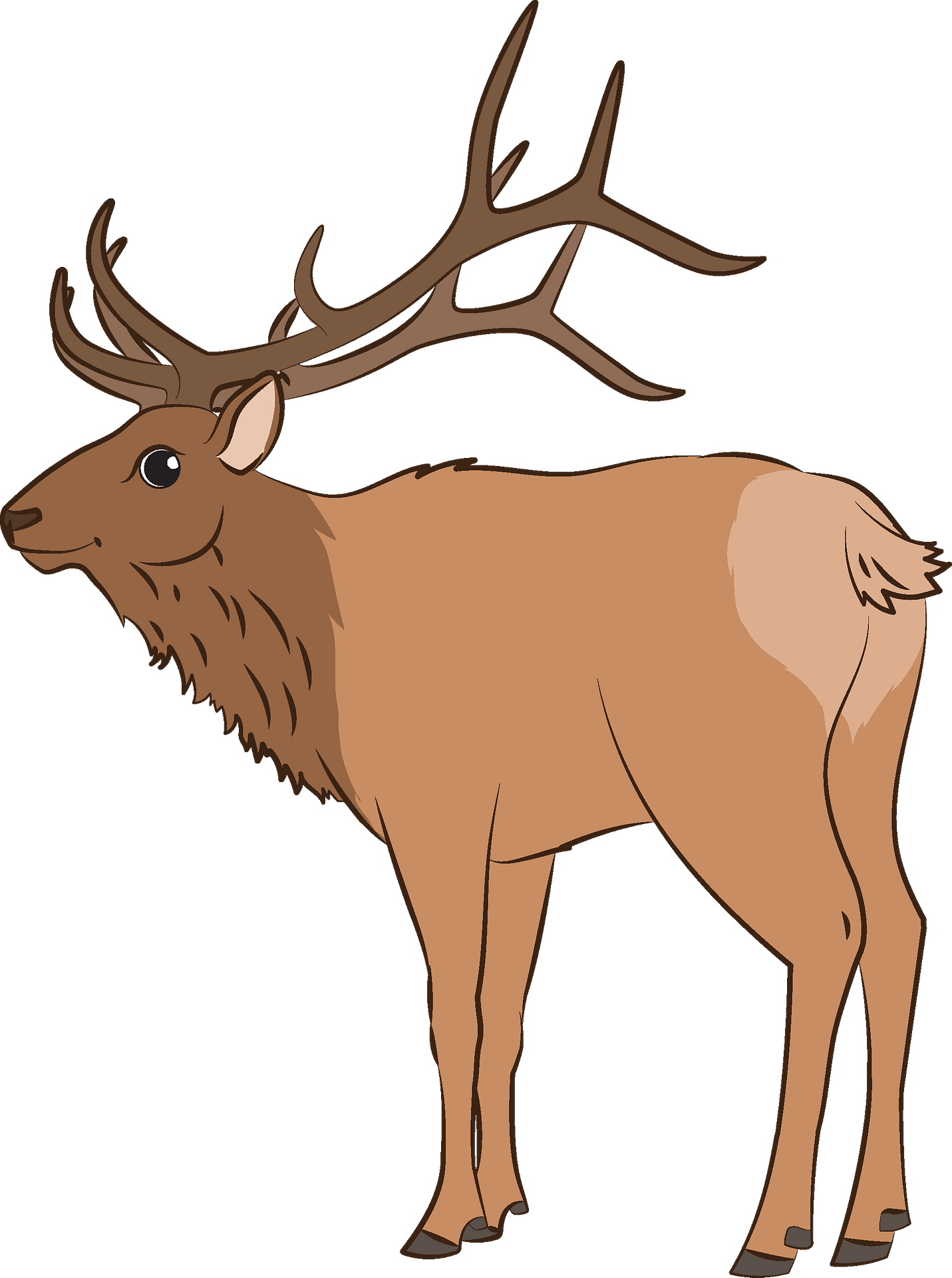 Elk Clipart - Antler, HD Png Download PNG with transparent background