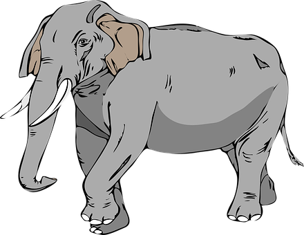 Illustrated Gray Elephant Graphic