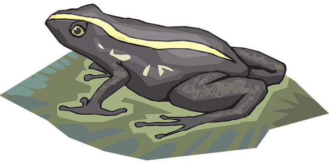 Illustrated Grey Frog On Leaf