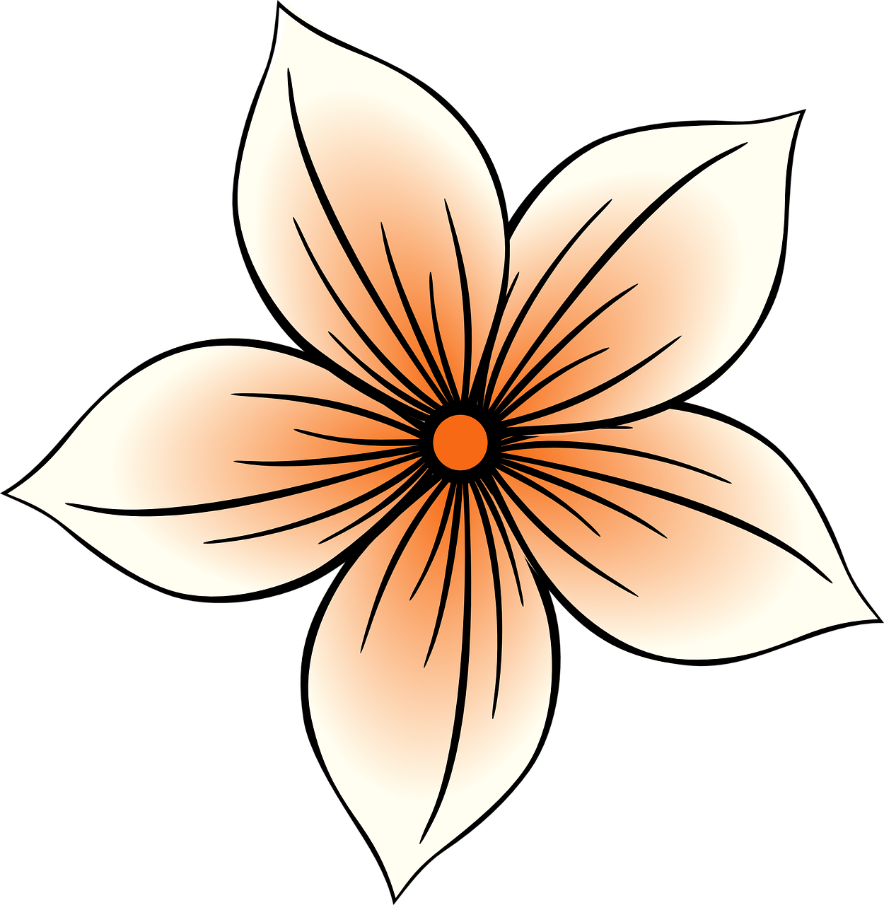 Illustrated Orange Flower Artwork