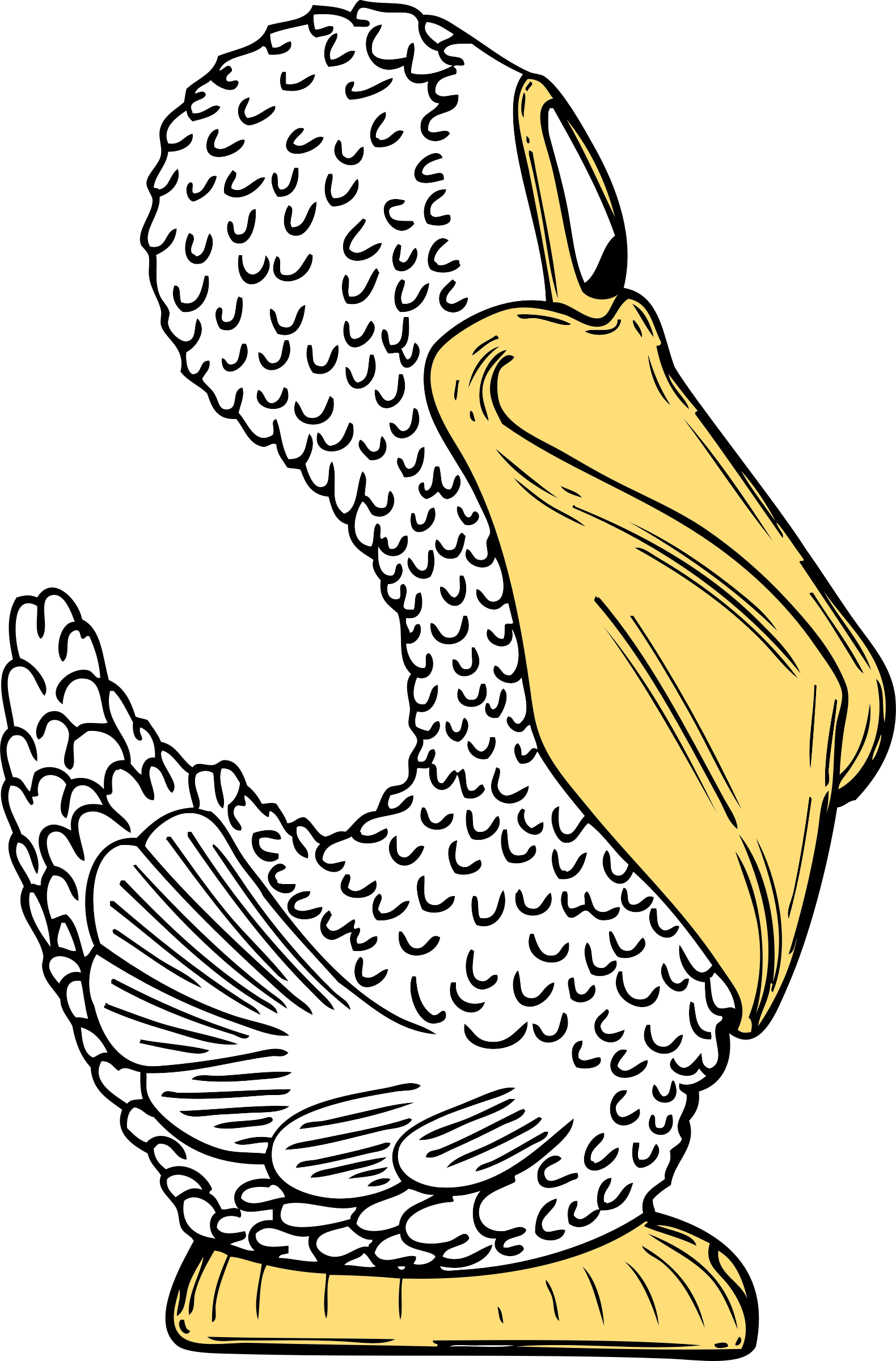 Illustrated Pelican Profile