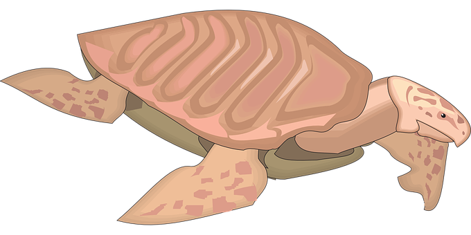 Illustrated Sea Turtle Graphic PNG with transparent background
