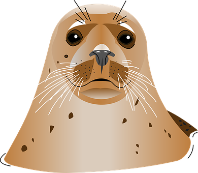 Illustrated Seal Portrait PNG with transparent background