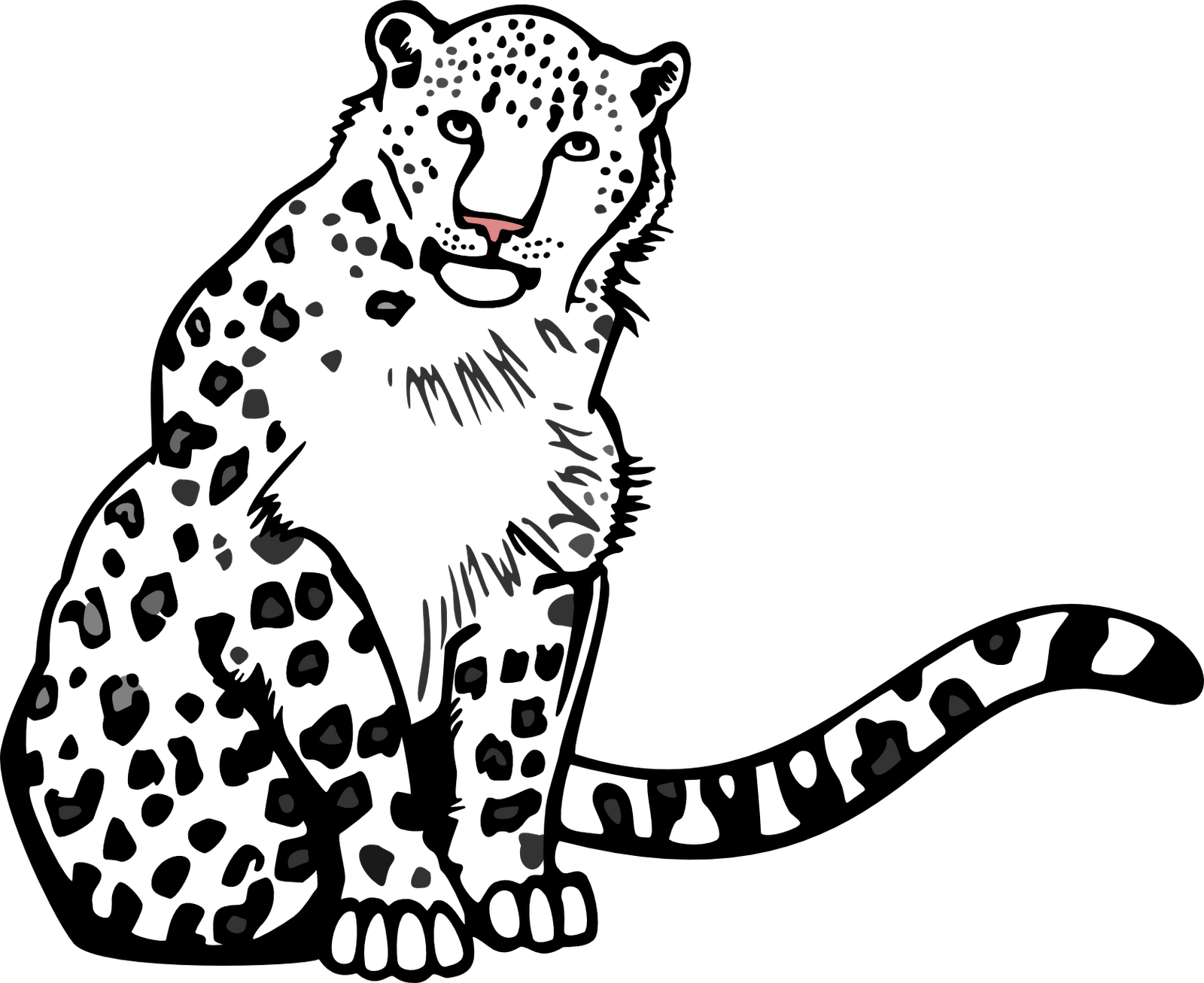 Transparent Leopard Clipart - Snow Leopard Images Outline, HD Png Download PNG with transparent background