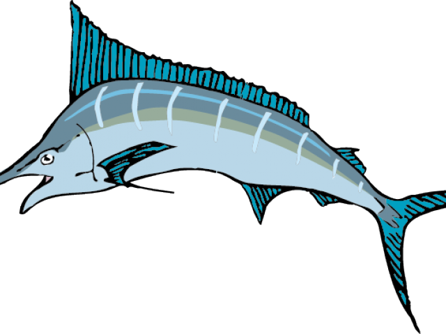 Illustrated Swordfish Graphic