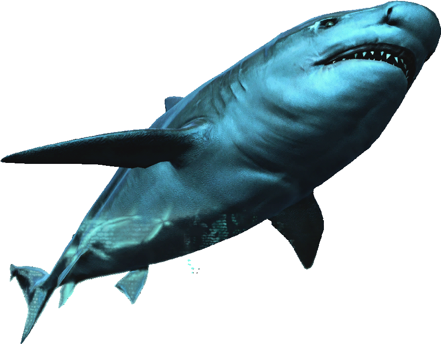 Image Ac Db Assassin - Assassin's Creed Bull Shark PNG with transparent background