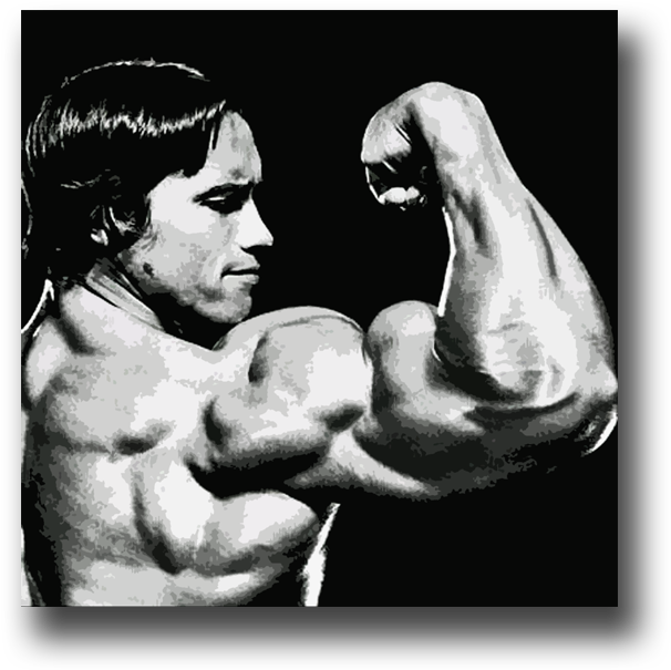 Image Of Arnold Schwarzenegger - Bodybuilding Fotos Arnold Schwarzenegger, HD Png Download PNG with transparent background