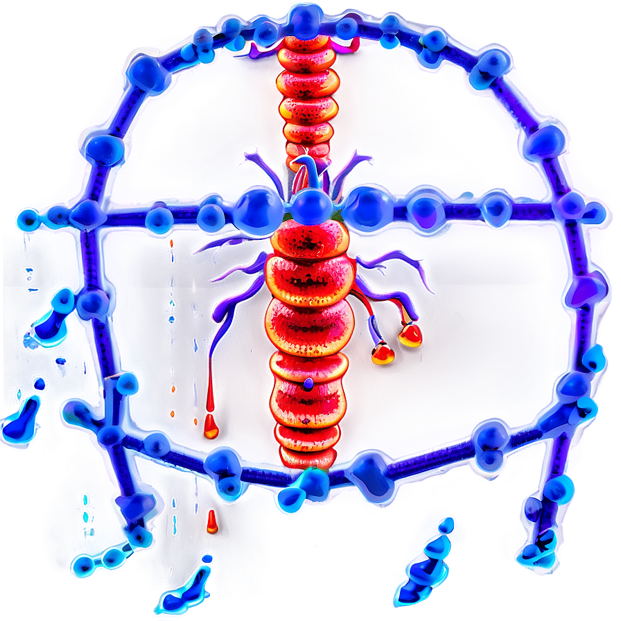 Immunology Defense Mechanisms Png Rsn