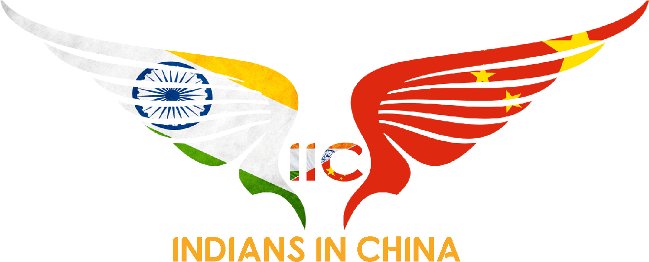 Indo China Friendship Wings Logo