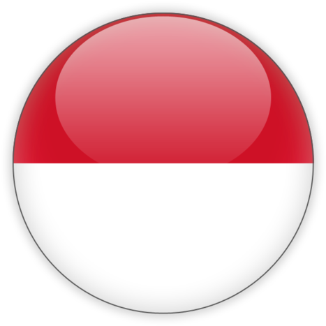 Indonesian_ Flag_ Button