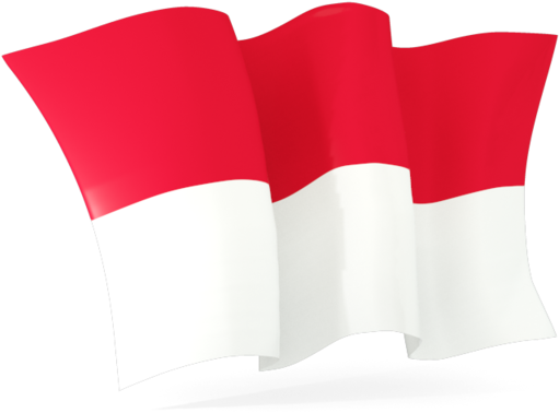 Indonesian Flag Waving