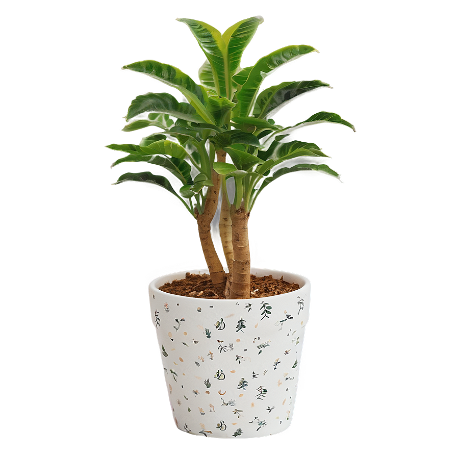 Indoor Potted Plants Png 06122024