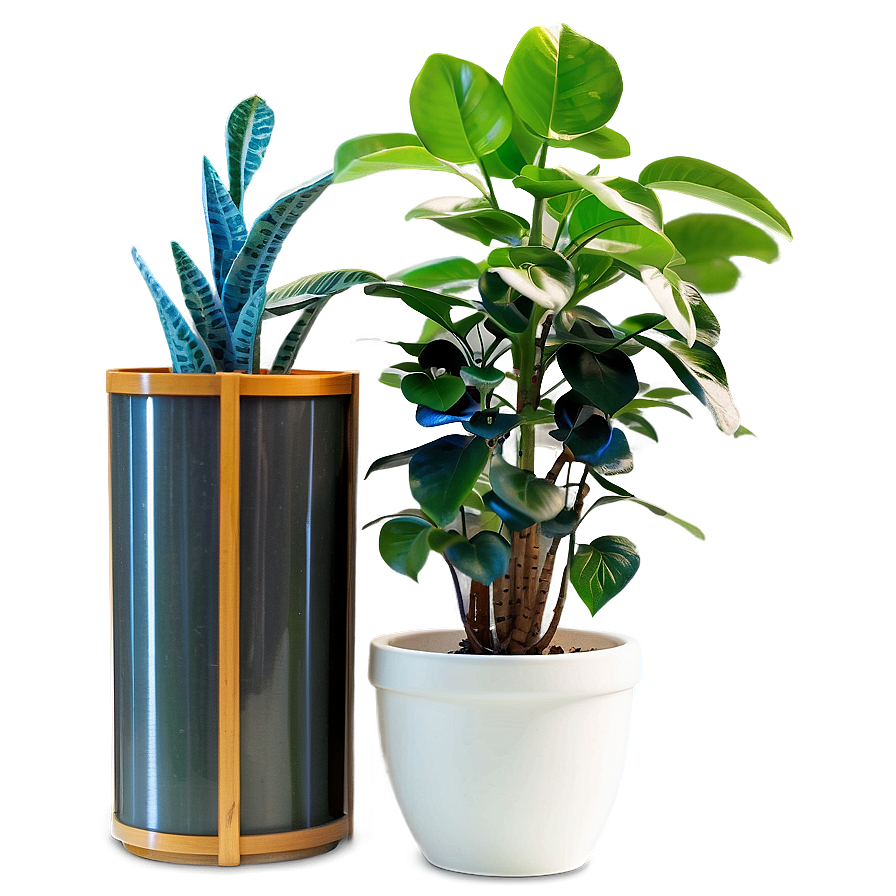 Indoor Potted Plants Png Yfh