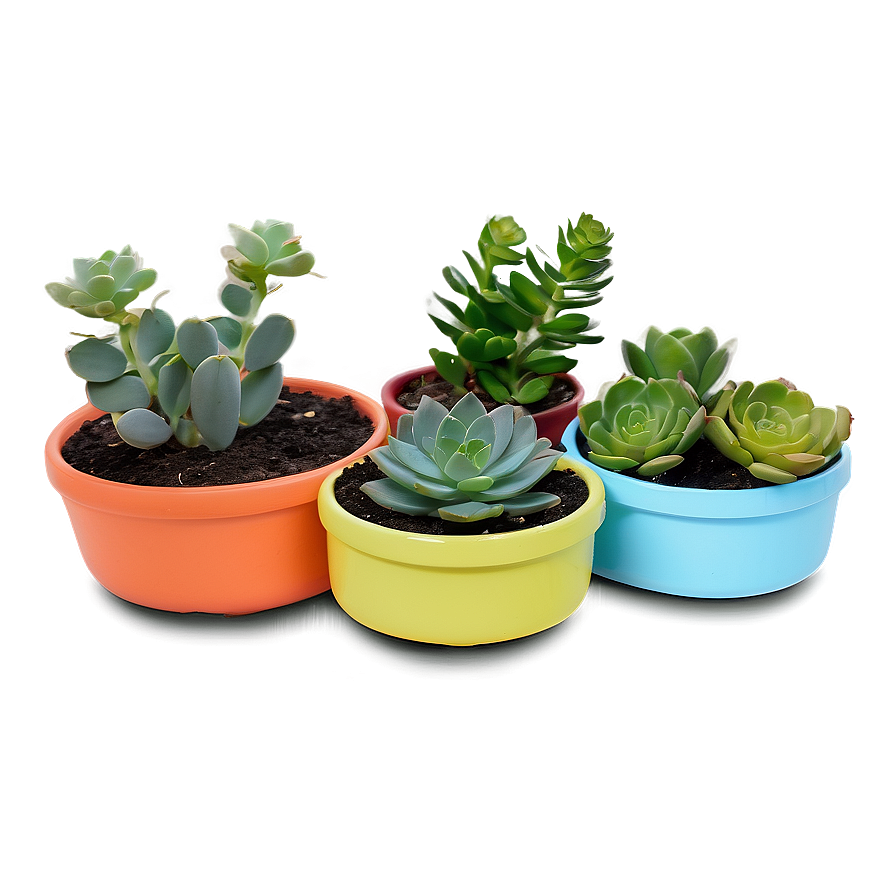 Indoor Succulent Pots Png Jtq