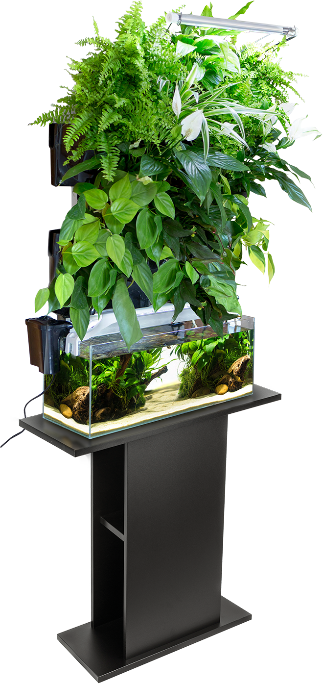 Indoor Vertical Garden Aquaponics System