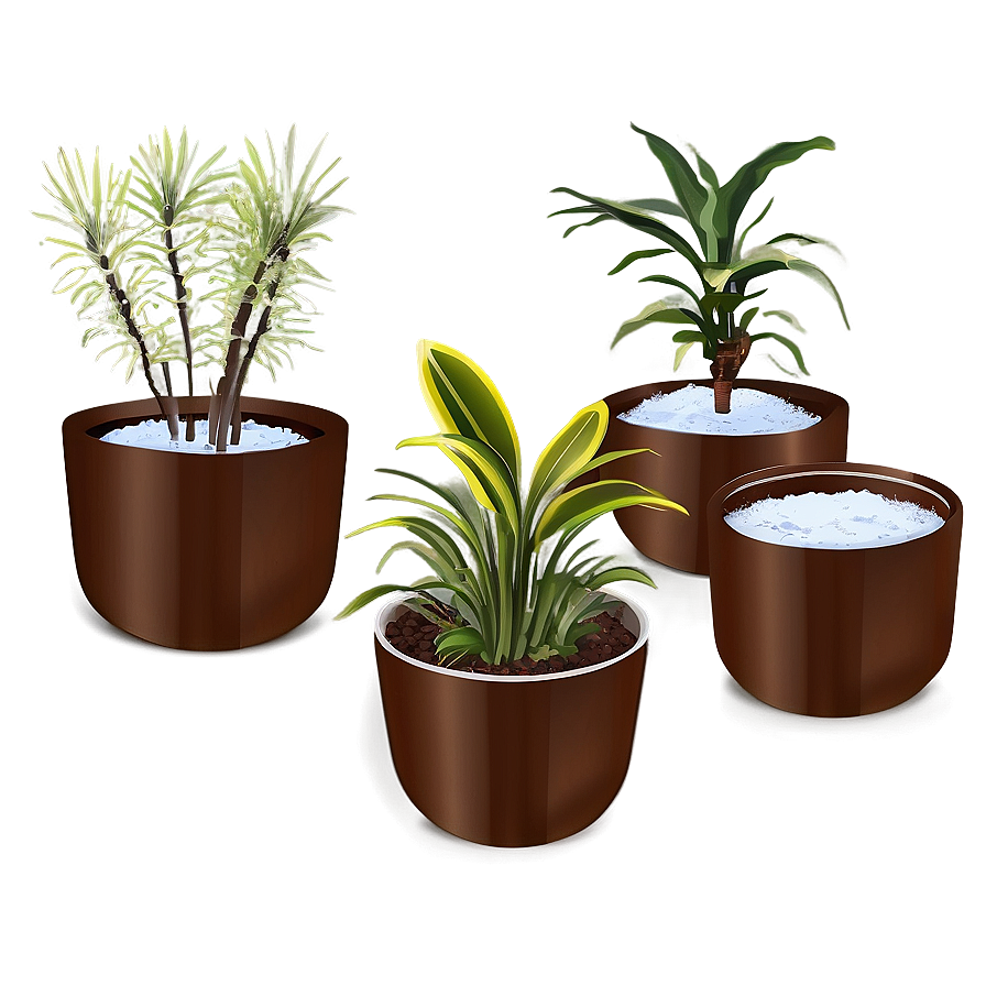 Indoor Winter Plants Png Vup