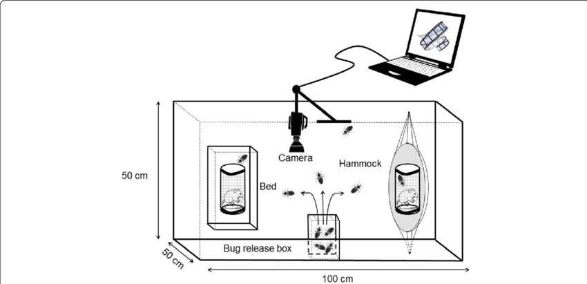 Insect Attraction Experiment Setup