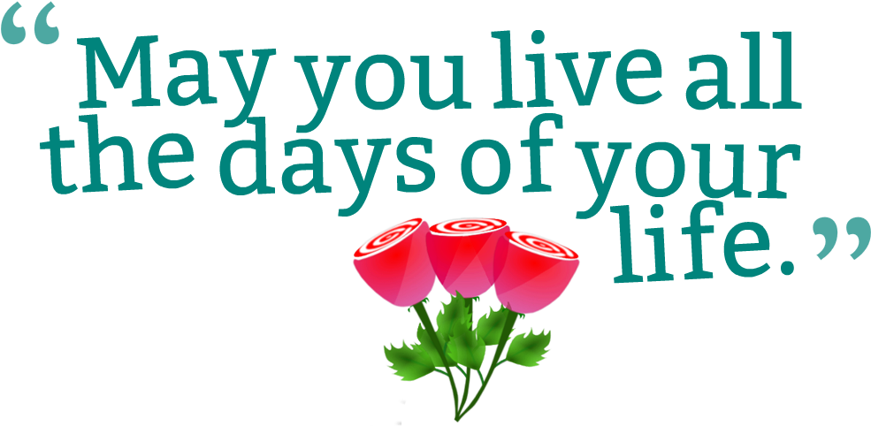 Transparent Quote Png - Wedding Anniversary Quotes Png, Png Download PNG with transparent background