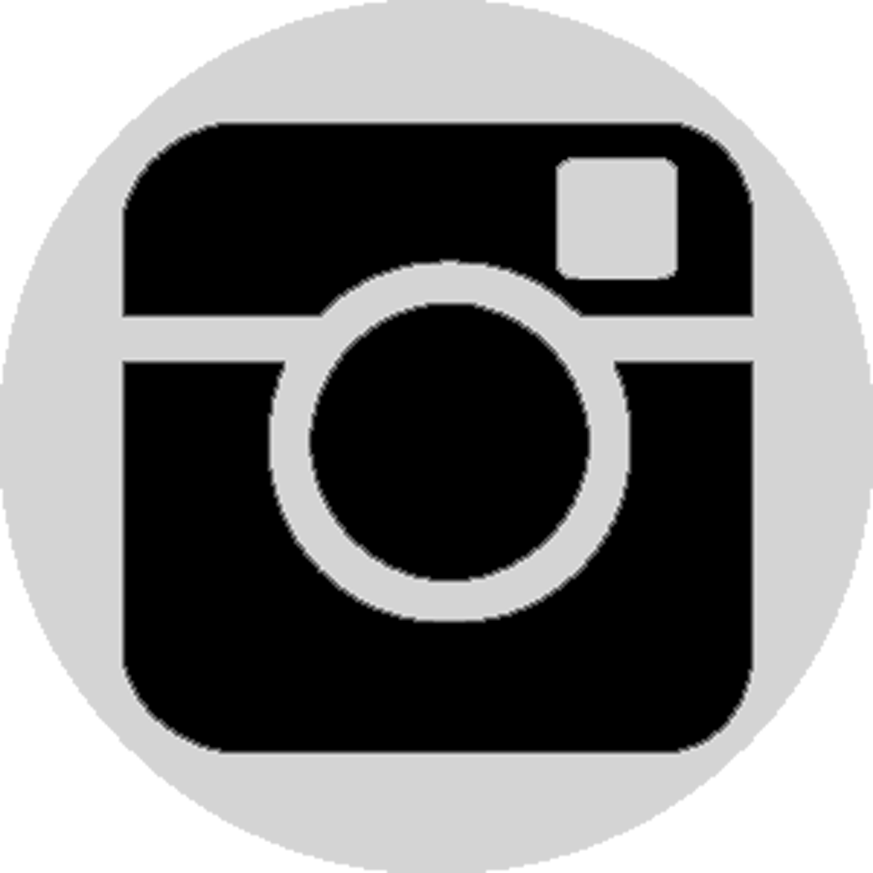 Instagram Logo Icon PNG with transparent background