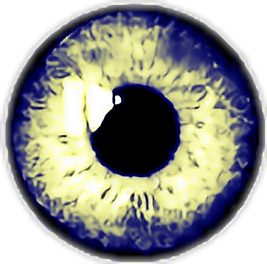 Intense_ Blue_ Eye_ Closeup.png PNG with transparent background