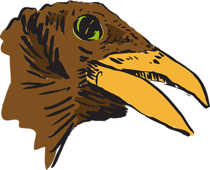 Intense_ Eagle_ Profile_ Vector