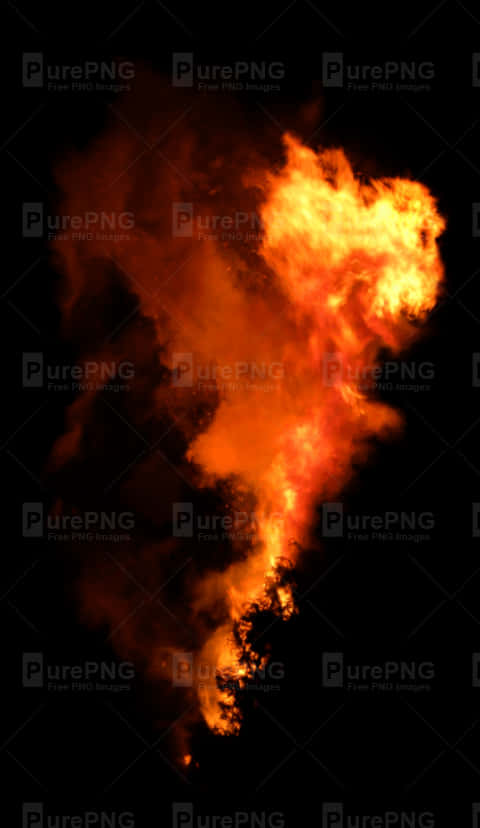 Intense_ Flame_ Against_ Dark_ Background