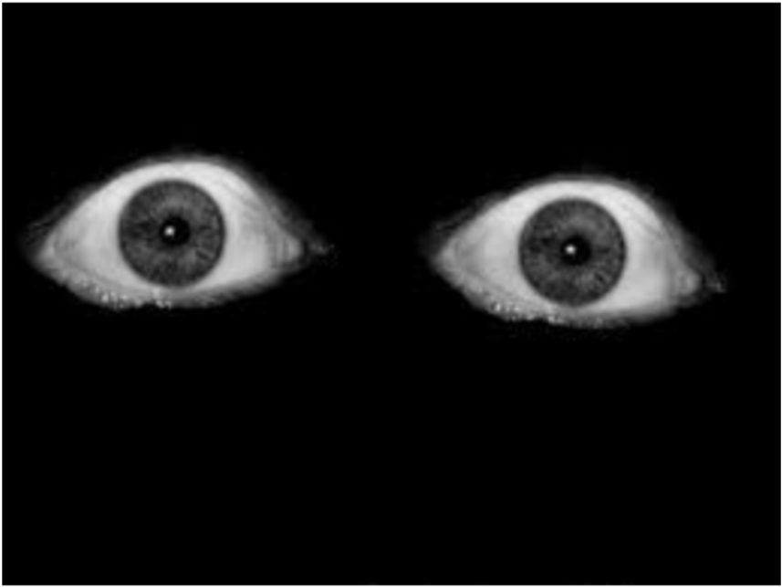 Intense_ Gaze_in_ Darkness.jpg PNG with transparent background