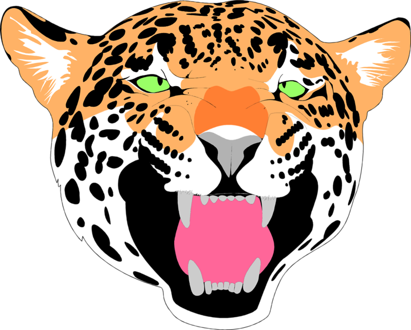 Intense Jaguar Face Illustration